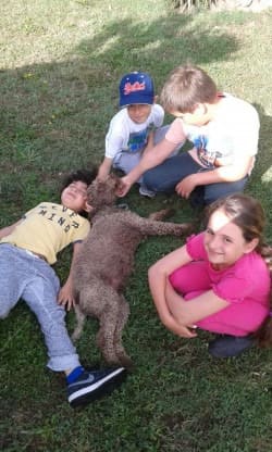 A.S.D. Equitazione per Tutti Onlus