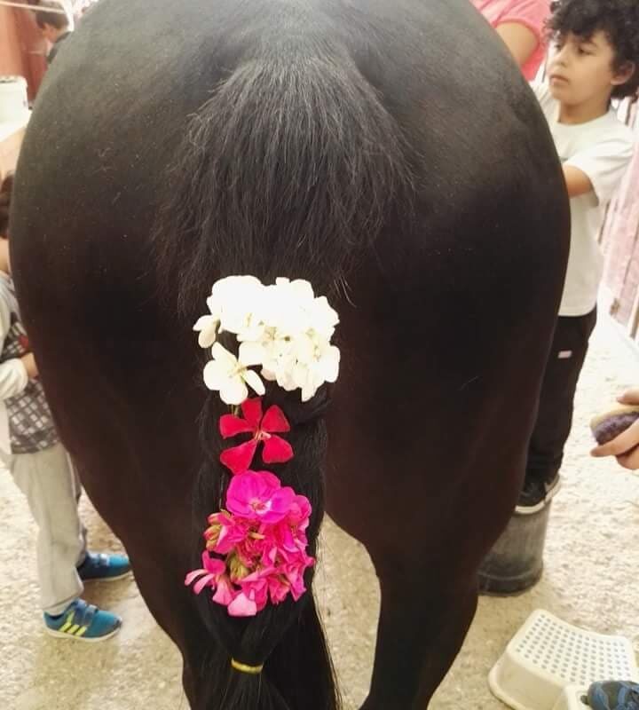 A.S.D. Equitazione per Tutti Onlus