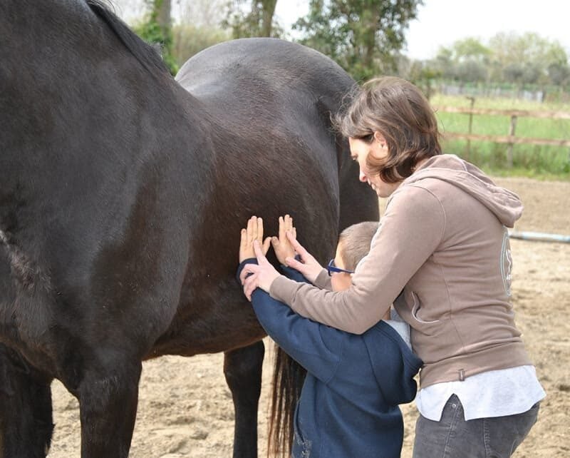 Equitazione per tutti.APS
