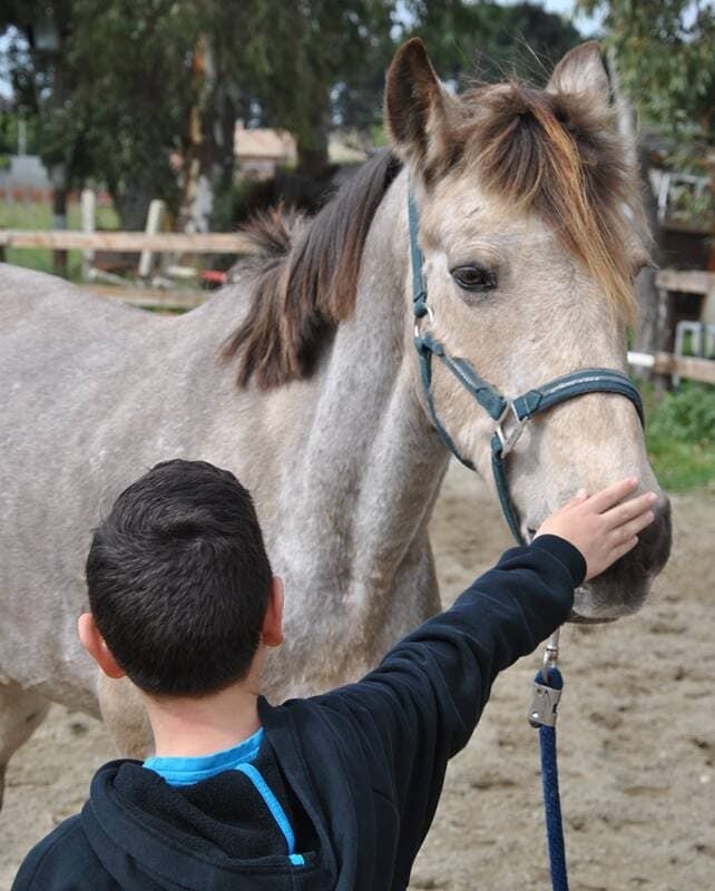 A.S.D. Equitazione per Tutti Onlus