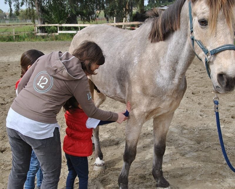 A.S.D. Equitazione per Tutti Onlus