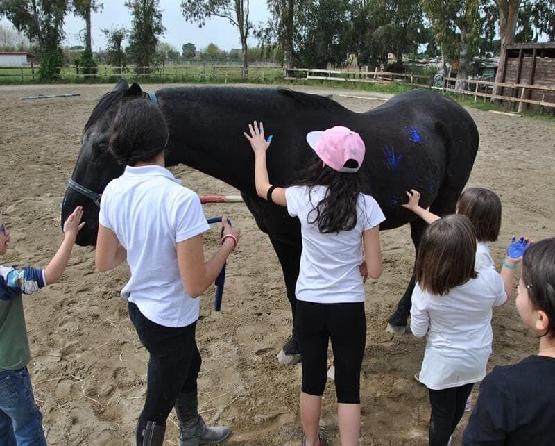 A.S.D. Equitazione per Tutti Onlus