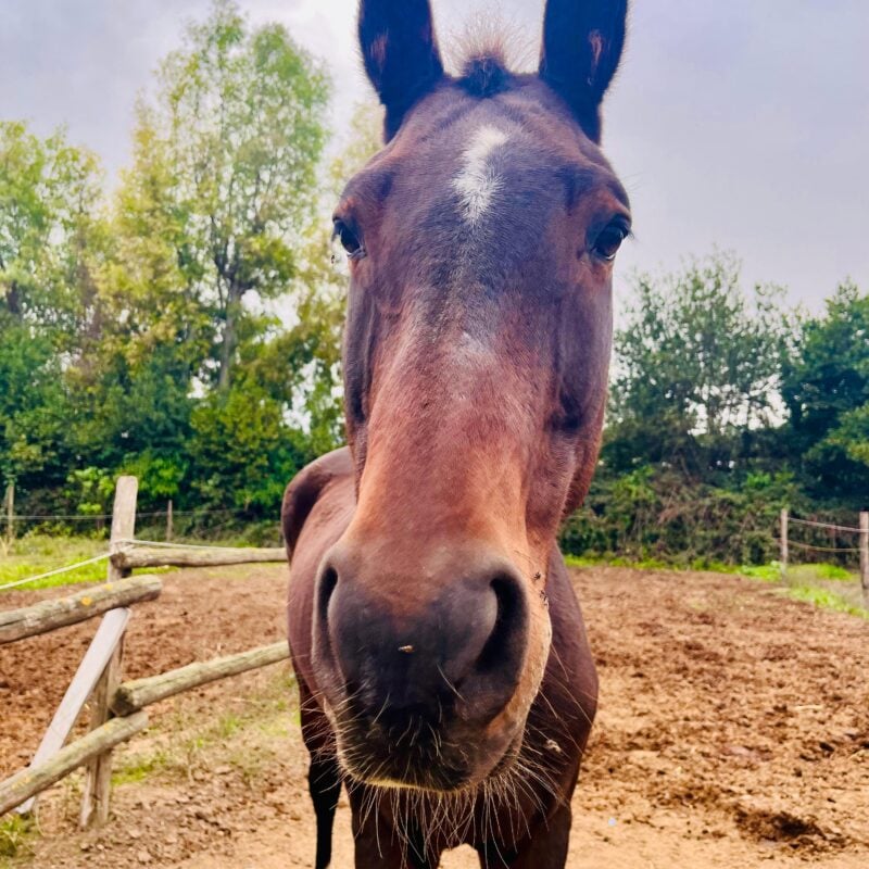Un piccolo spaccato di solidarietá.