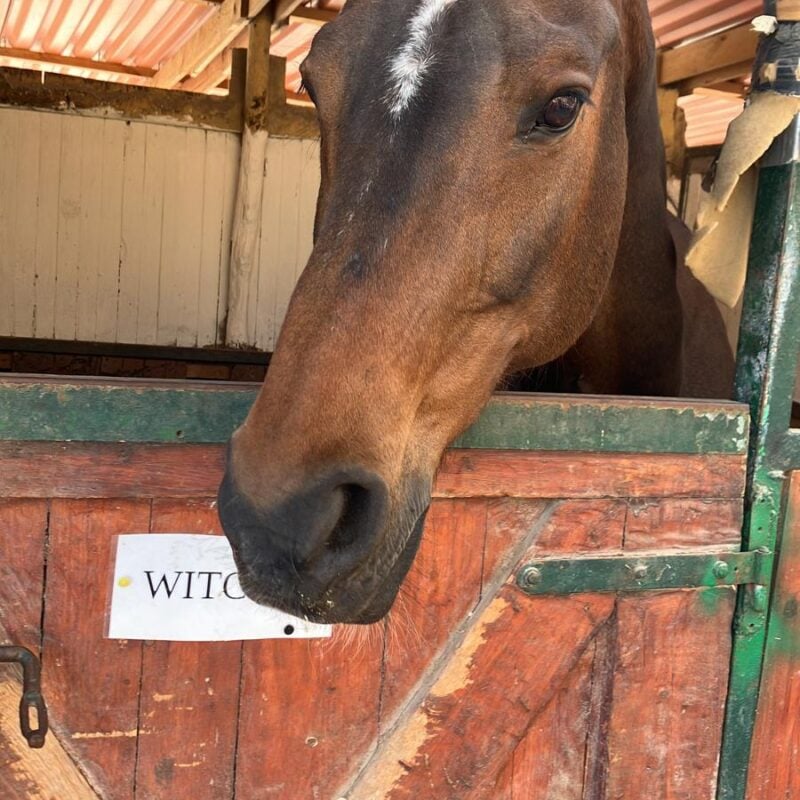 A.S.D. Equitazione per Tutti Onlus