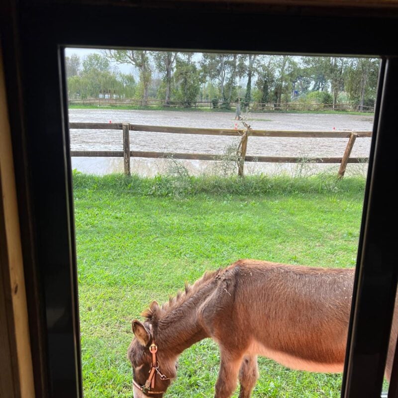 A.S.D. Equitazione per Tutti Onlus