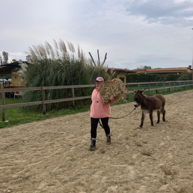 A.S.D. Equitazione per Tutti Onlus